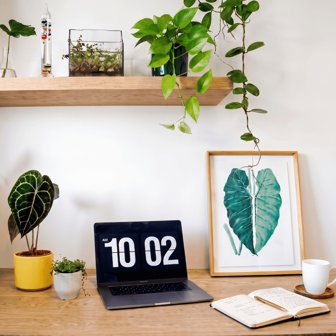 Galileo Galilei - Glass Thermometer on a stylish desk with plants and a laptop, showcasing a unique scientific design.