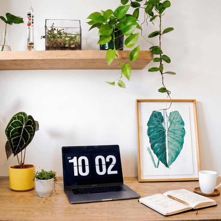 Galileo Galilei - Glass Thermometer on a stylish desk with plants and a laptop, showcasing a unique scientific design.