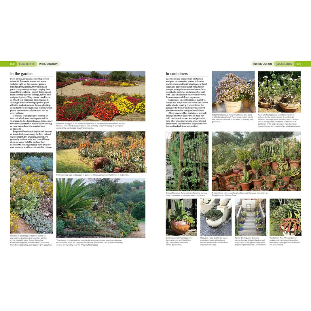 Gardening magazine layout with images of south african indigenous  gardens and plants