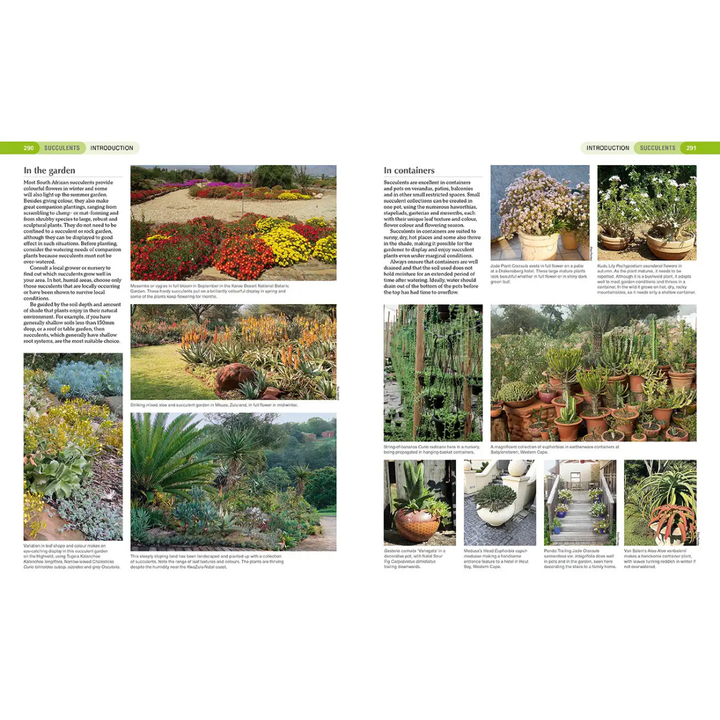 Gardening magazine layout with images of south african indigenous  gardens and plants