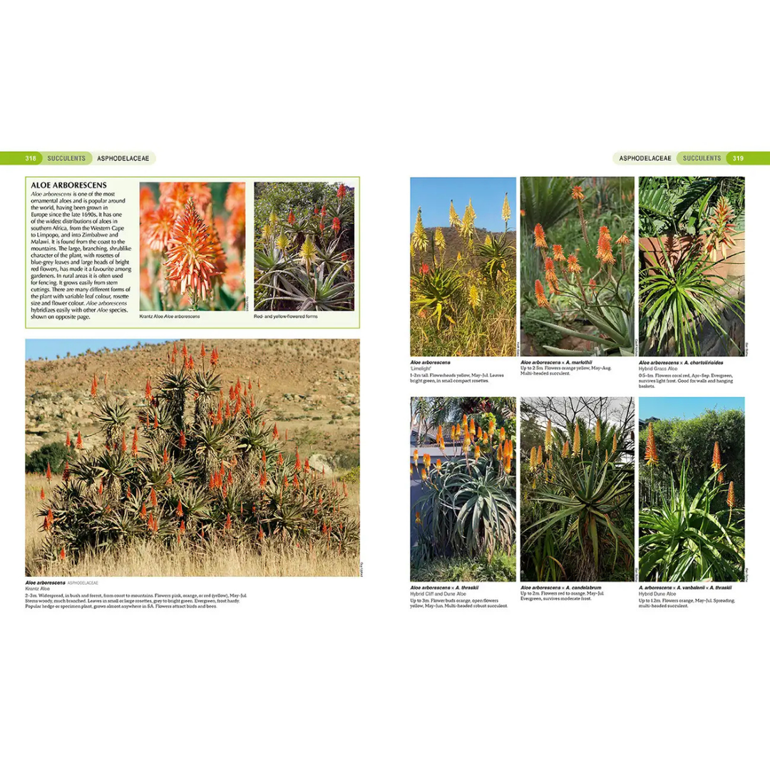 Gazetteer of South African plants with images and text on a white background