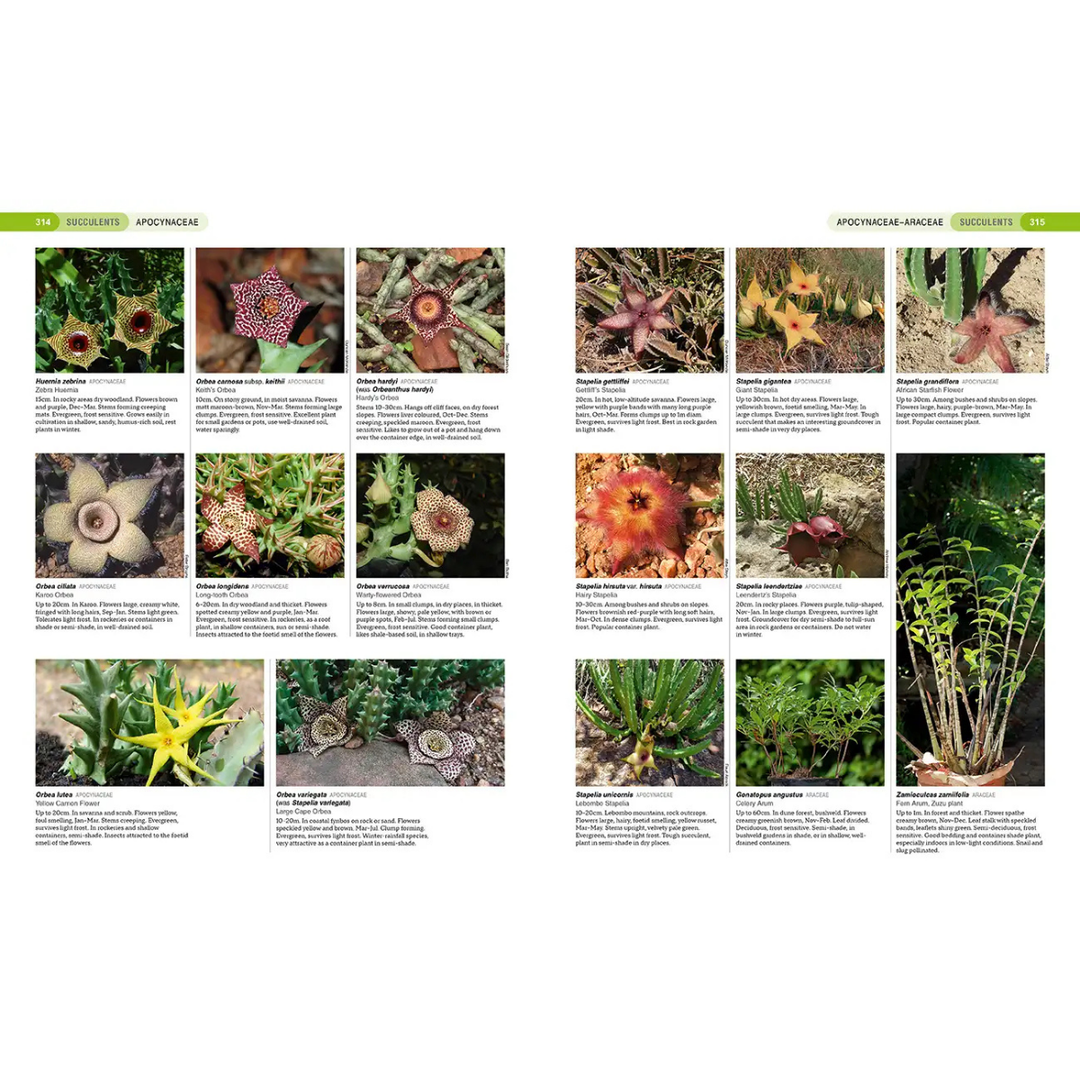 Collection of various south african indigenous succulents with descriptive text 