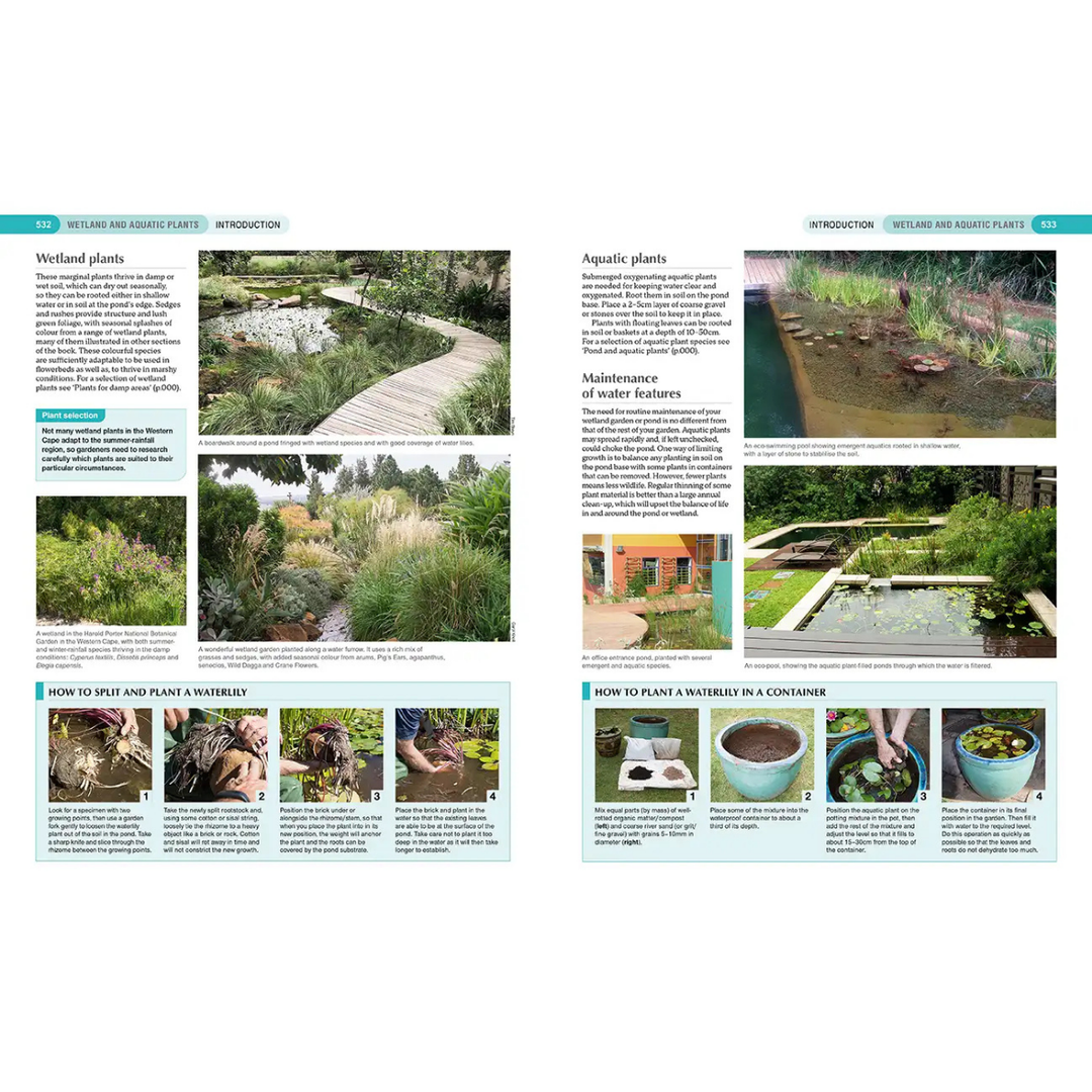 Gardening guide with images and text on wetland plants and water features.