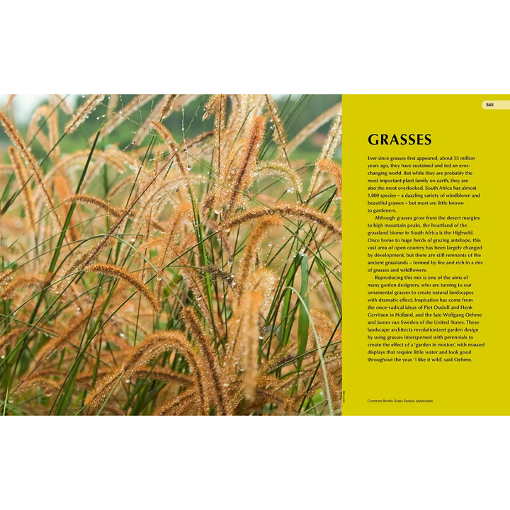 Close-up of grasses with text on a yellow background
