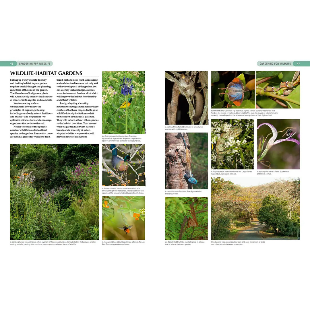 Gardening for Wildlife book page with images of south african indigenous plants, animals, and landscapes.
