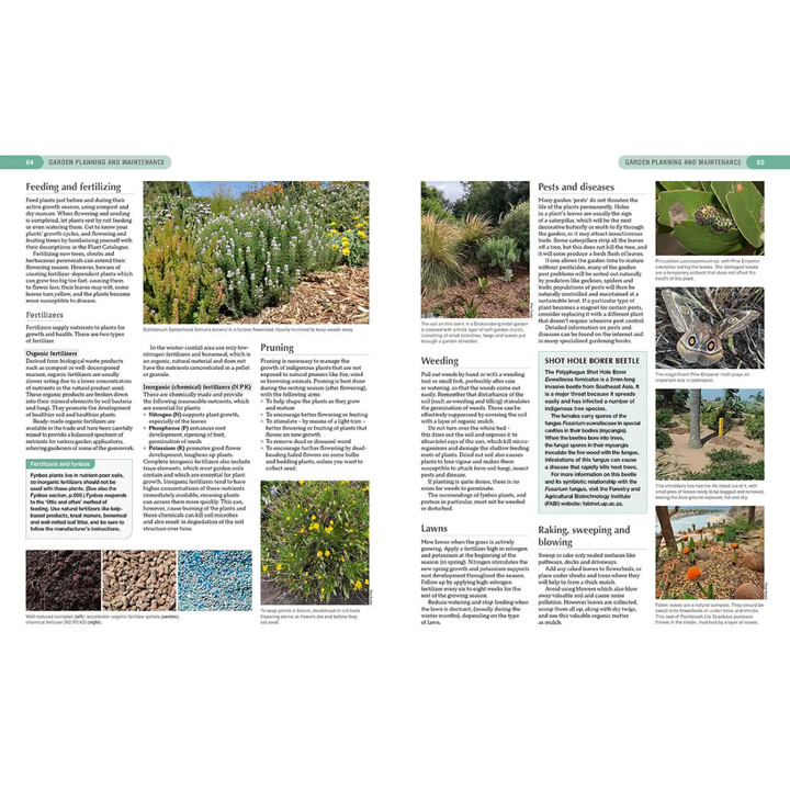 Gardening guide with text and images of south african indigenous plants and garden scenes.