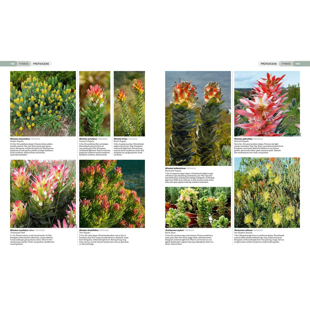 Page from a book or magazine featuring images of various flowering plants with text descriptions.