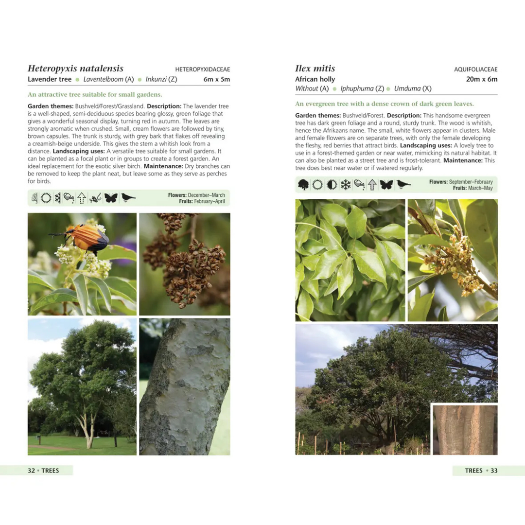 Gardening guide with images and descriptions of Heteropyxis natalensis and Flexis mitsii plants.