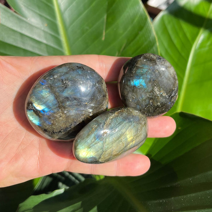 Labradorite Gallets - Polished Palm Stones - Shop Online!