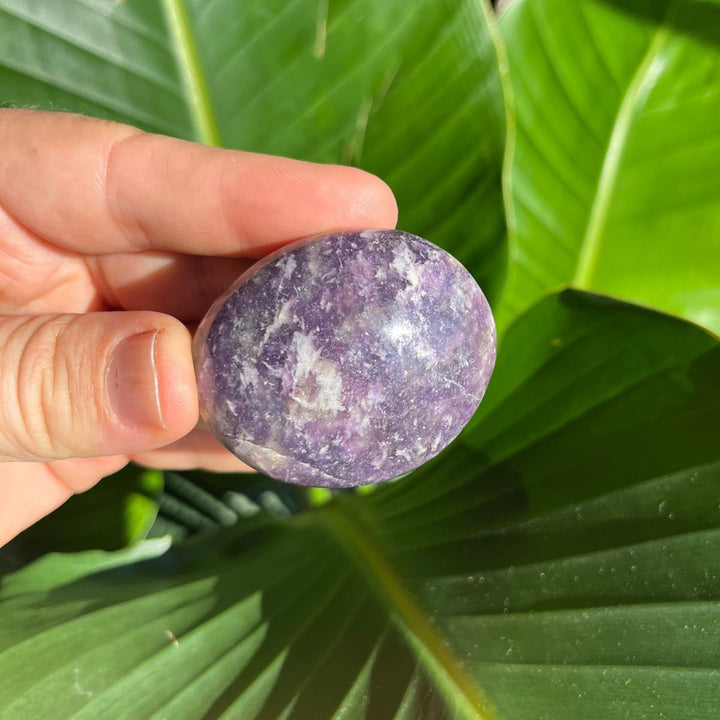 Lepidolite Gallets - Polished Palm Stones - Shop Online!