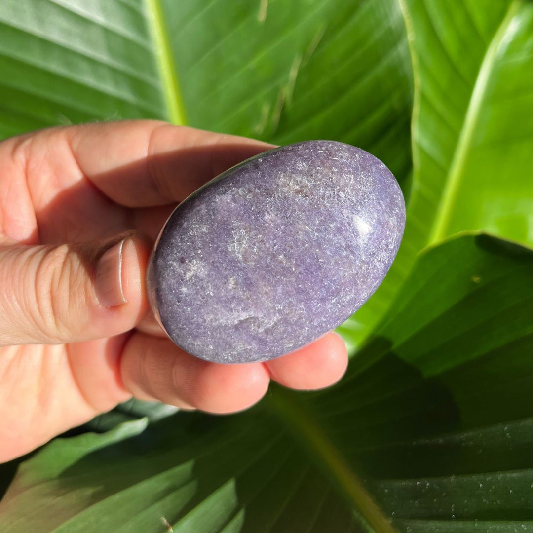 Lepidolite Gallets - Polished Palm Stones - Shop Online!