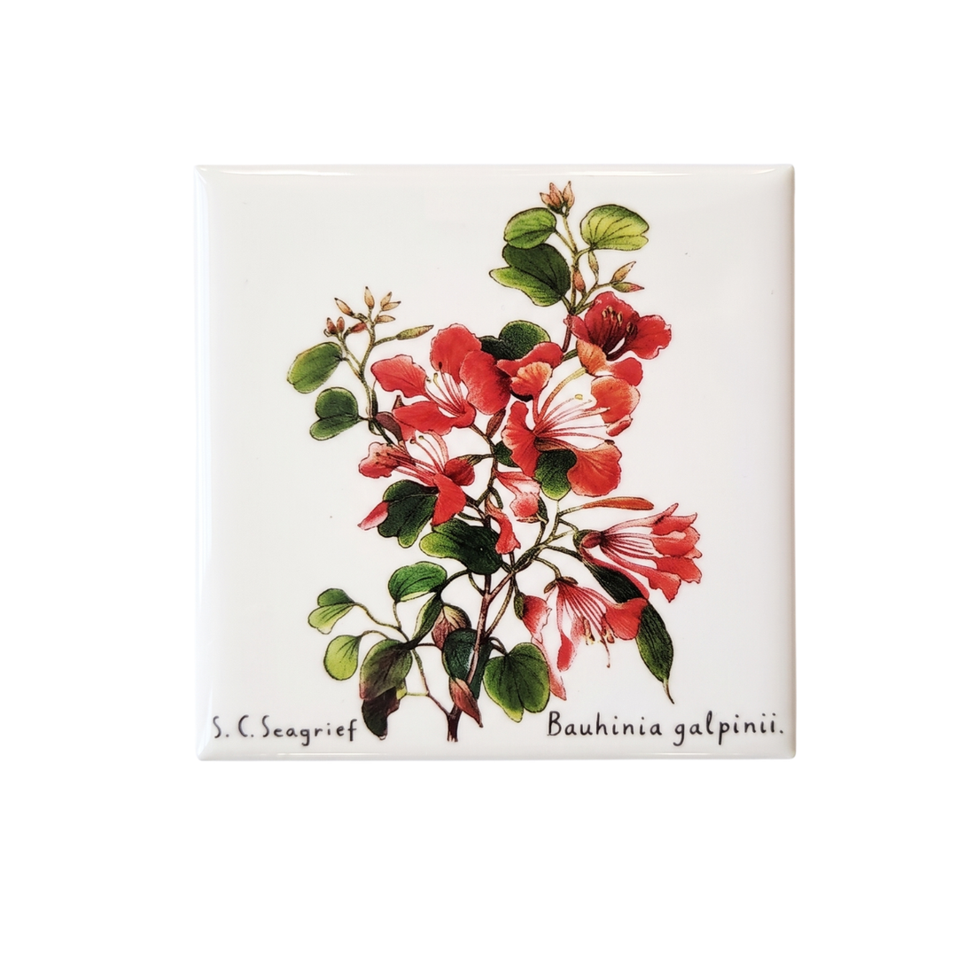 Wildflower Magnets - Set of 5