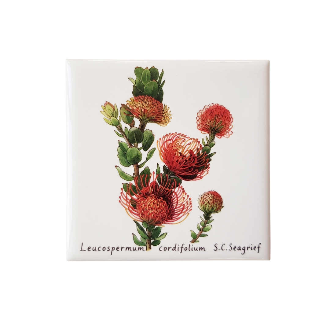 Wildflower Magnets - Singles