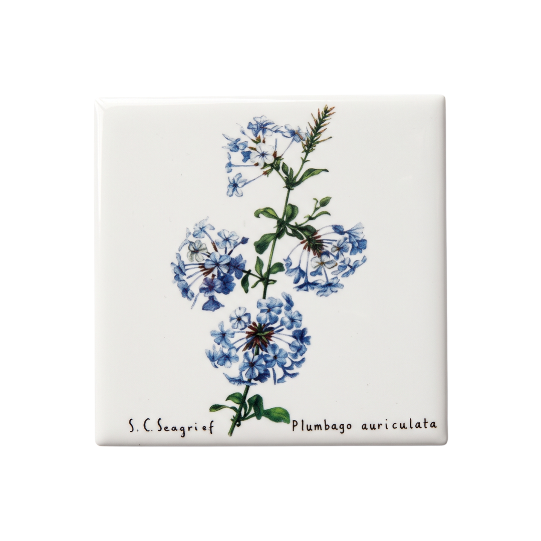 Wildflower Magnets - Set of 5