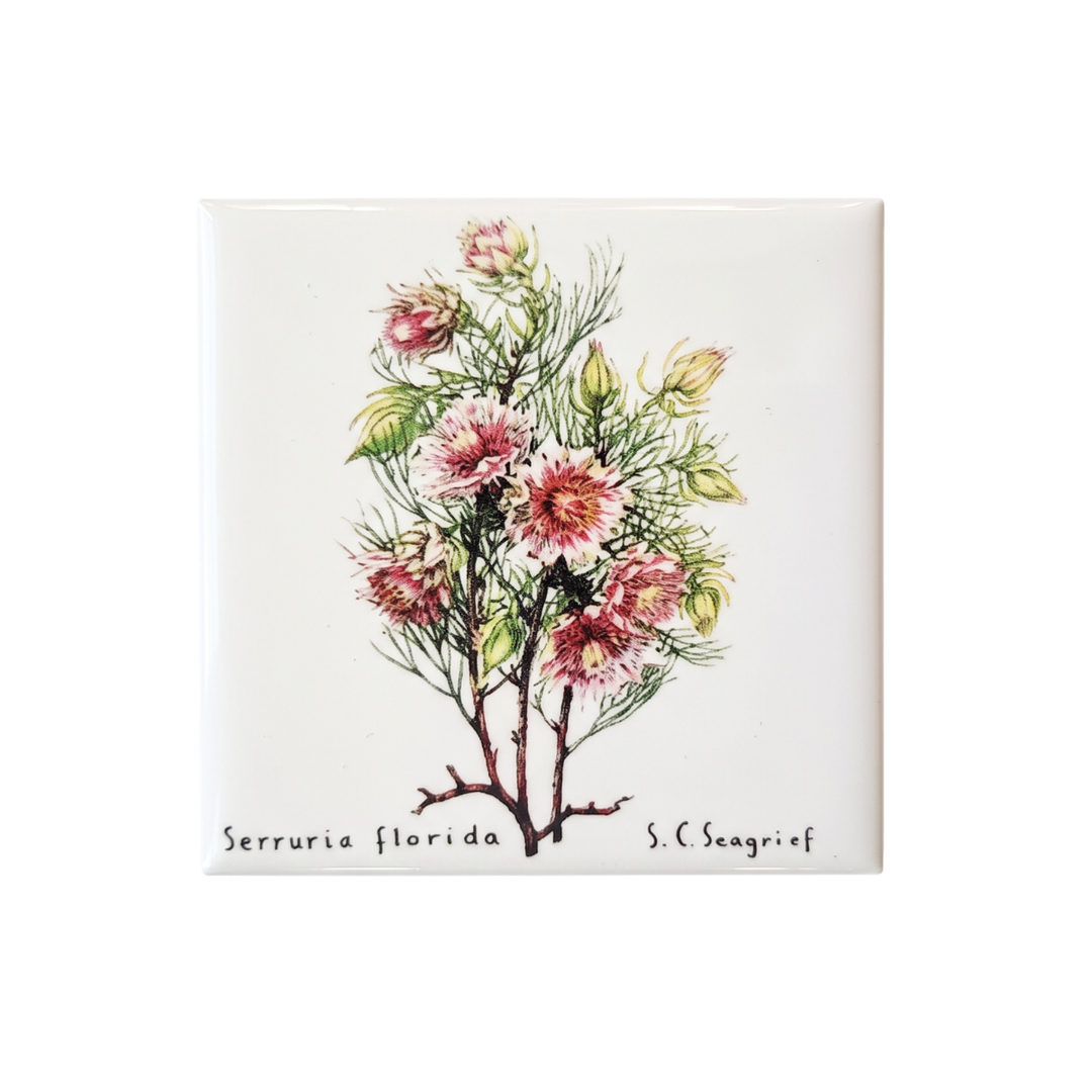 Wildflower Magnets - Set of 5