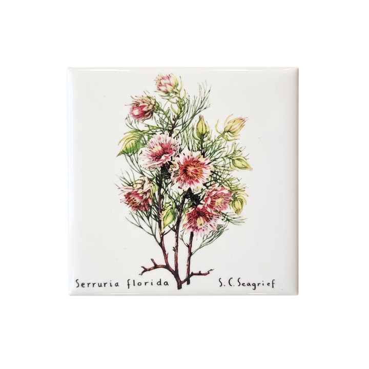 Wildflower Magnets - Set of 5