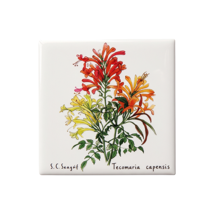 Wildflower Magnets - Set of 5