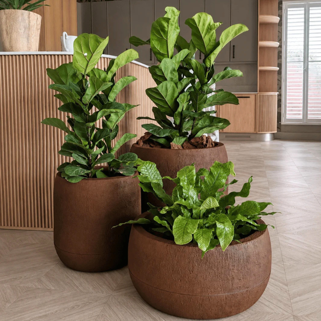 Oma Planter - Corten Steel