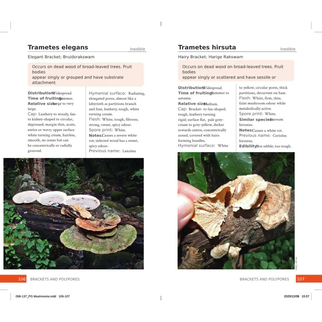 Book page with images and descriptions of Trametes elegans and Trametes hirsuta mushrooms.