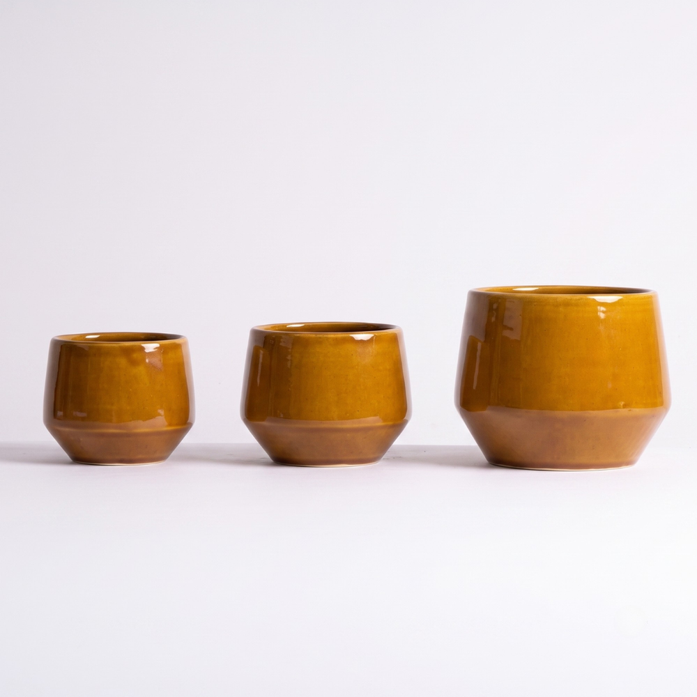 Pogo Planter - Burnt mustard trio for scale