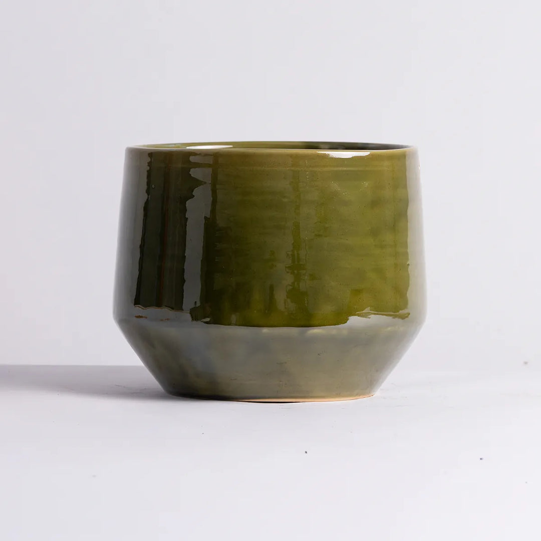 Pogo Planter - Vintage Green