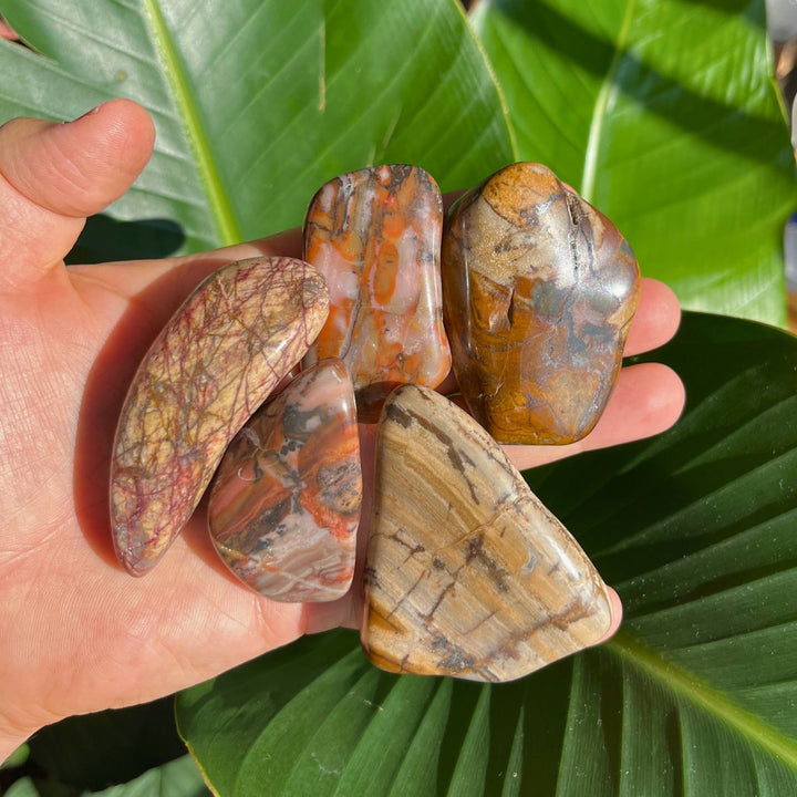 Polychrome Jasper Tumbled Stone - Shop Online!