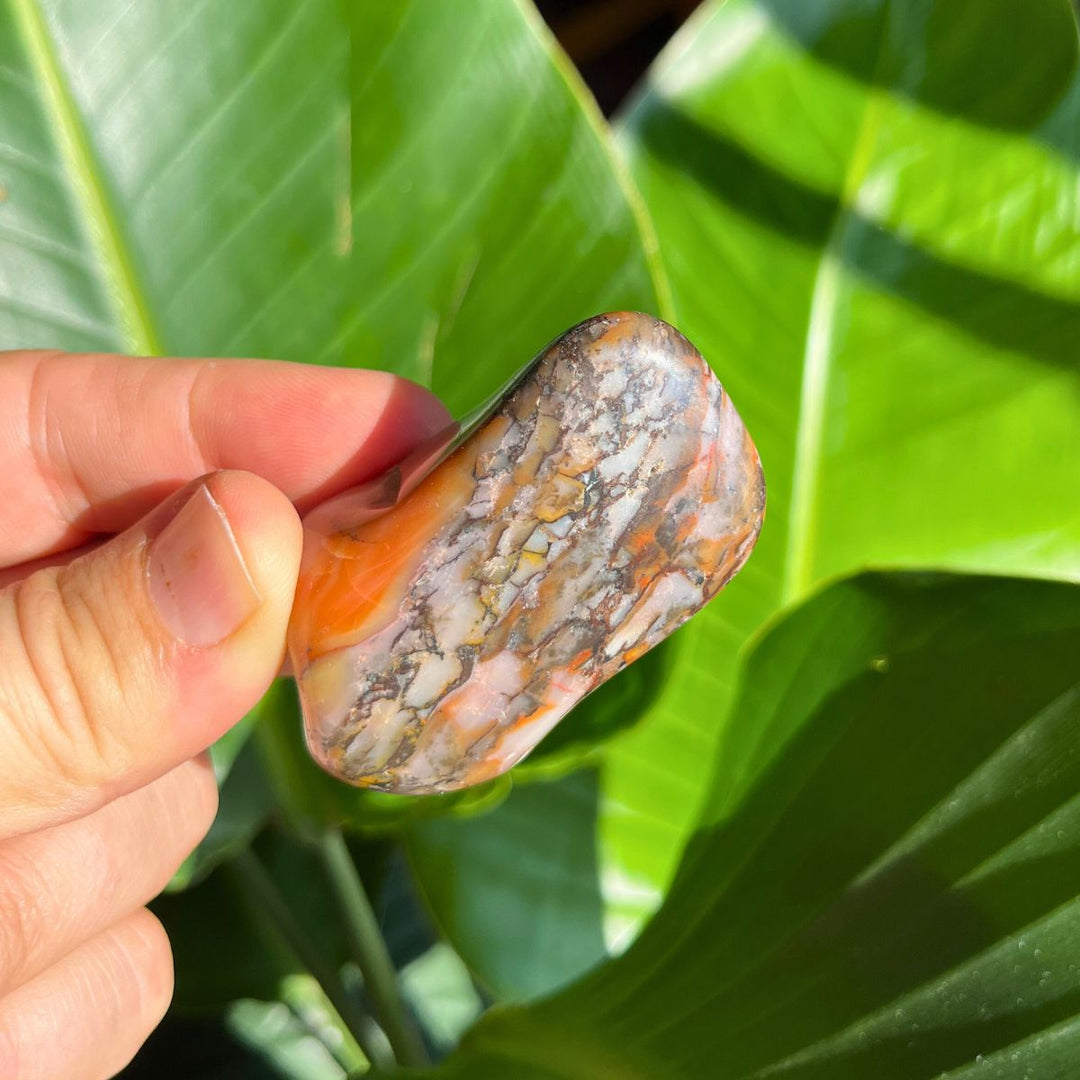 Polychrome Jasper Tumbled Stone - Shop Online!