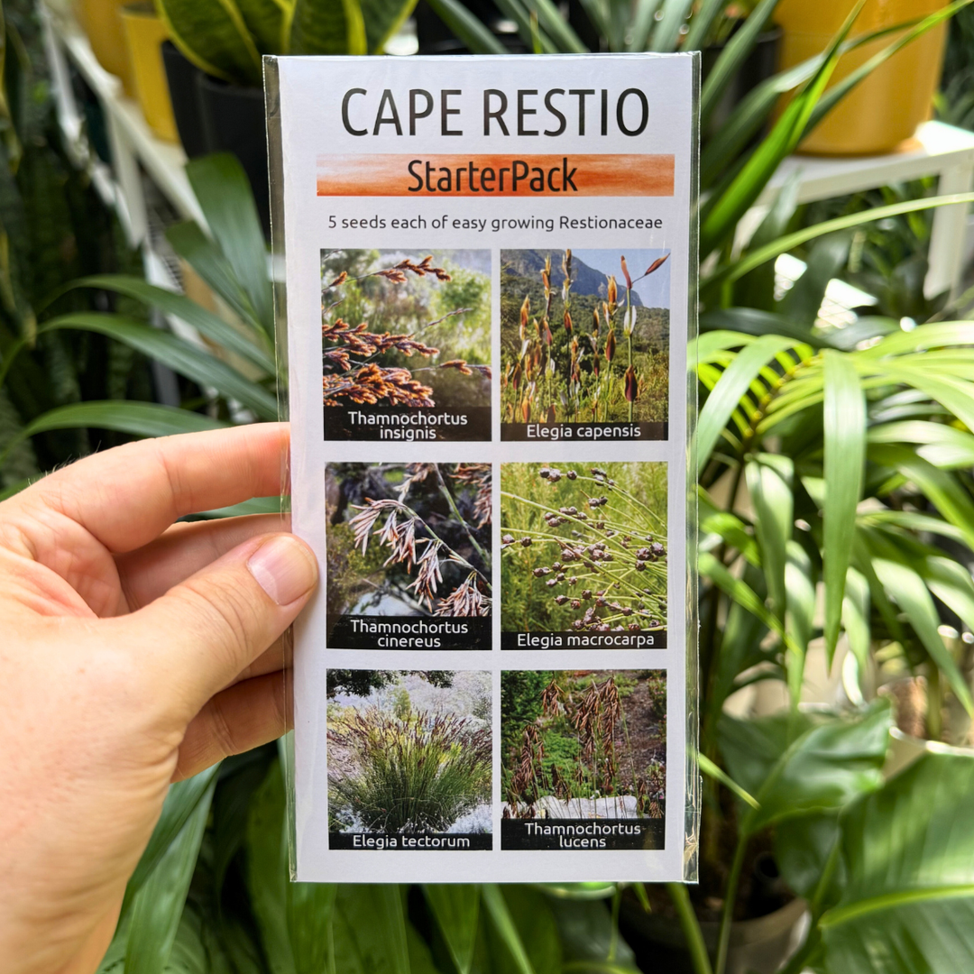 Cape Restios starter pack help up against foliage