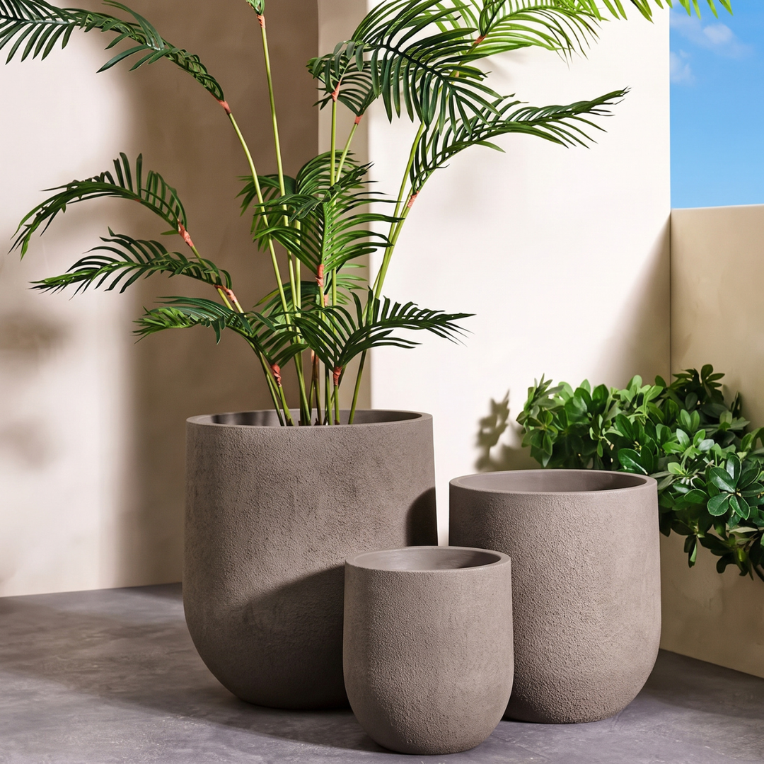 Rustic Cask Planter - Macchiato, modern textured planters with palm plants, ideal for home and patio decor.
