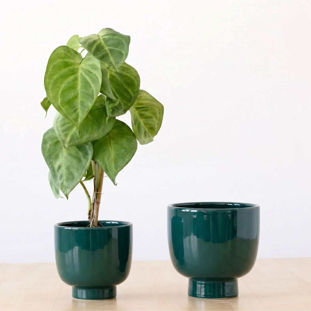 Shing Plinth Planter - Jade
