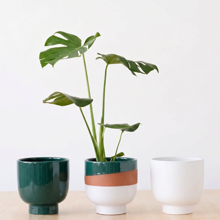 Shing Plinth Planter - Tricolor