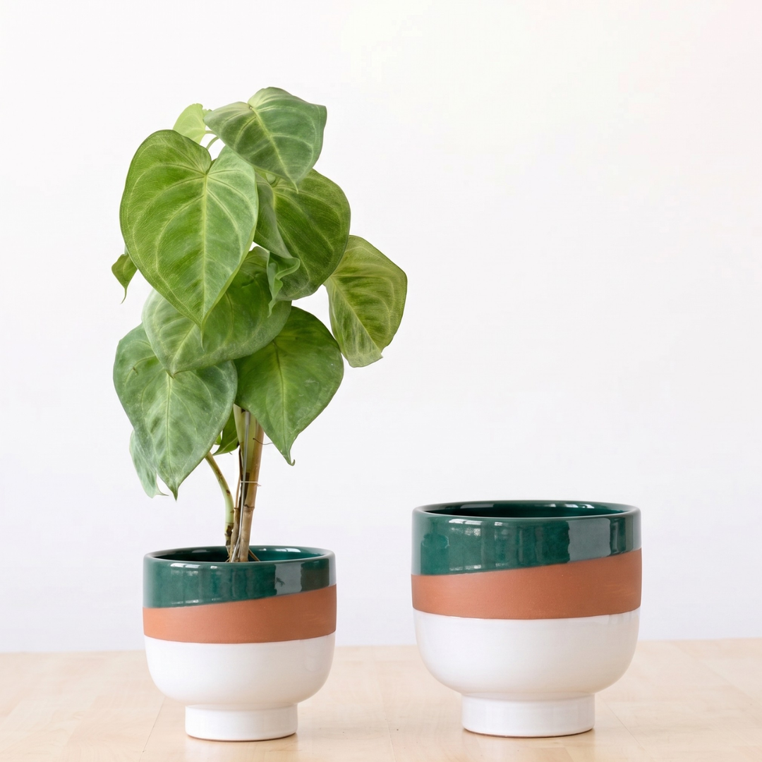 Shing Plinth Planter - Tricolor