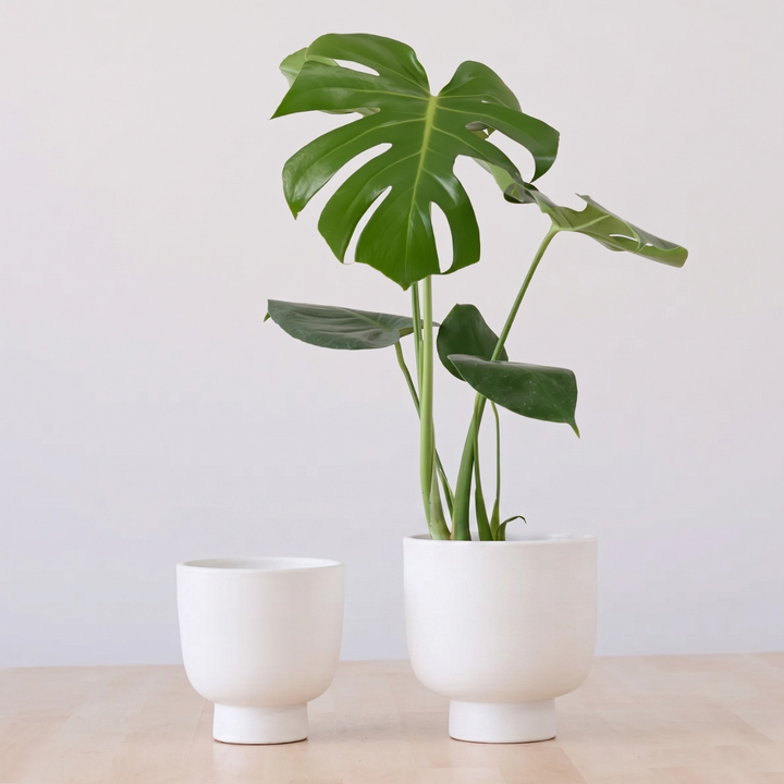 Shing Plinth Planter - White