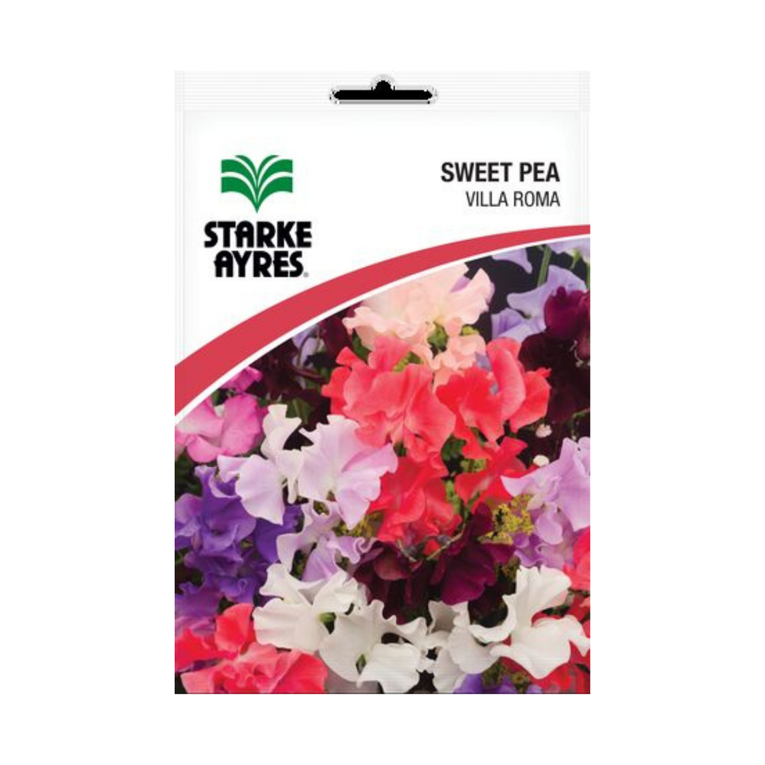 Seeds - Sweetpea Villa Roma - Shop Online!