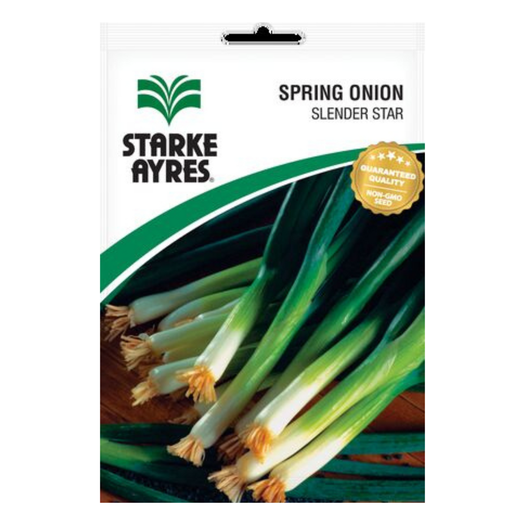 Seeds - Spring Onion - Shop Online!