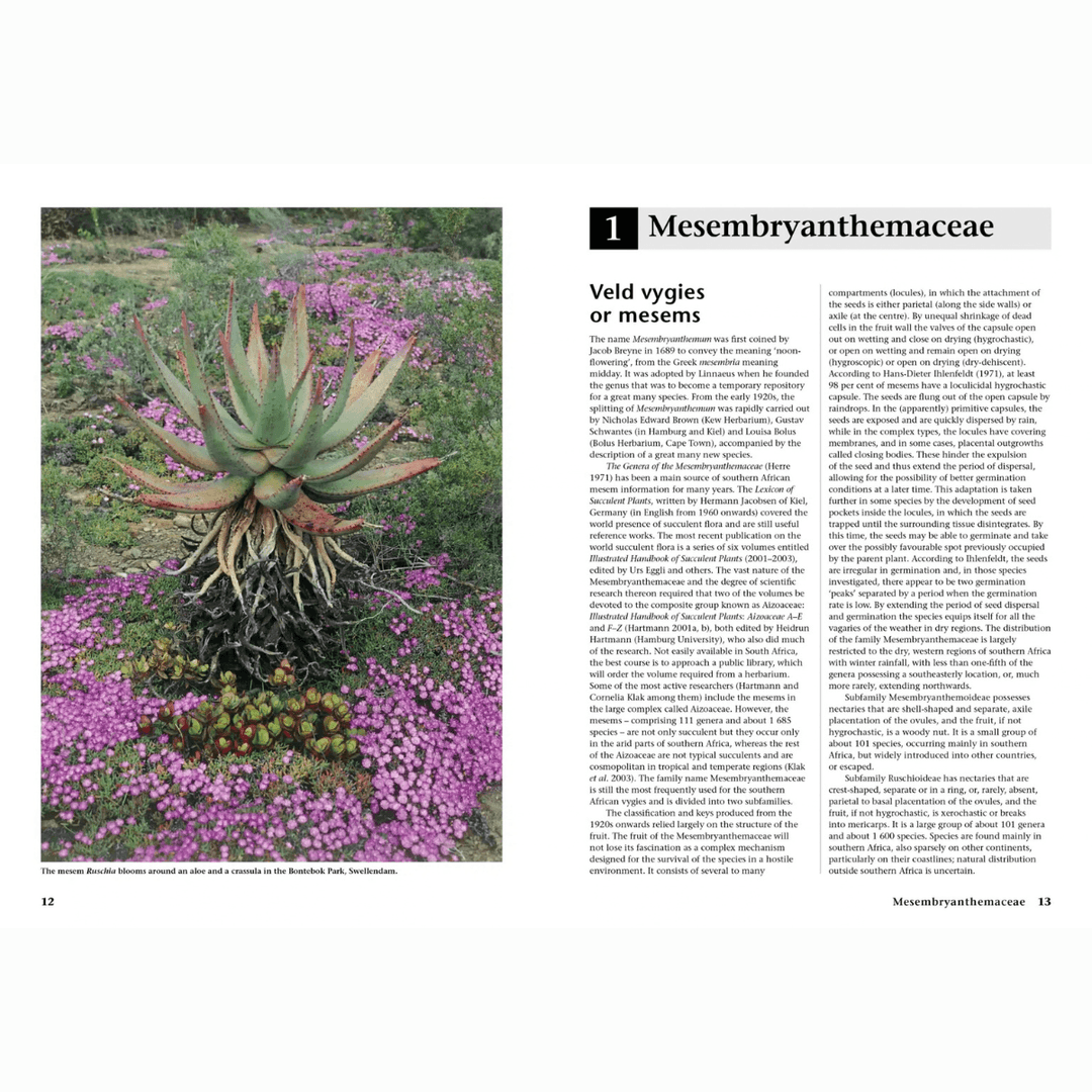 Succulent Flora of Southern Africa featuring Mesembryanthemaceae with vibrant flowers and detailed identification information.