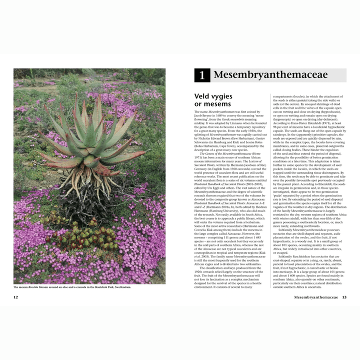 Succulent Flora of Southern Africa featuring Mesembryanthemaceae with vibrant flowers and detailed identification information.