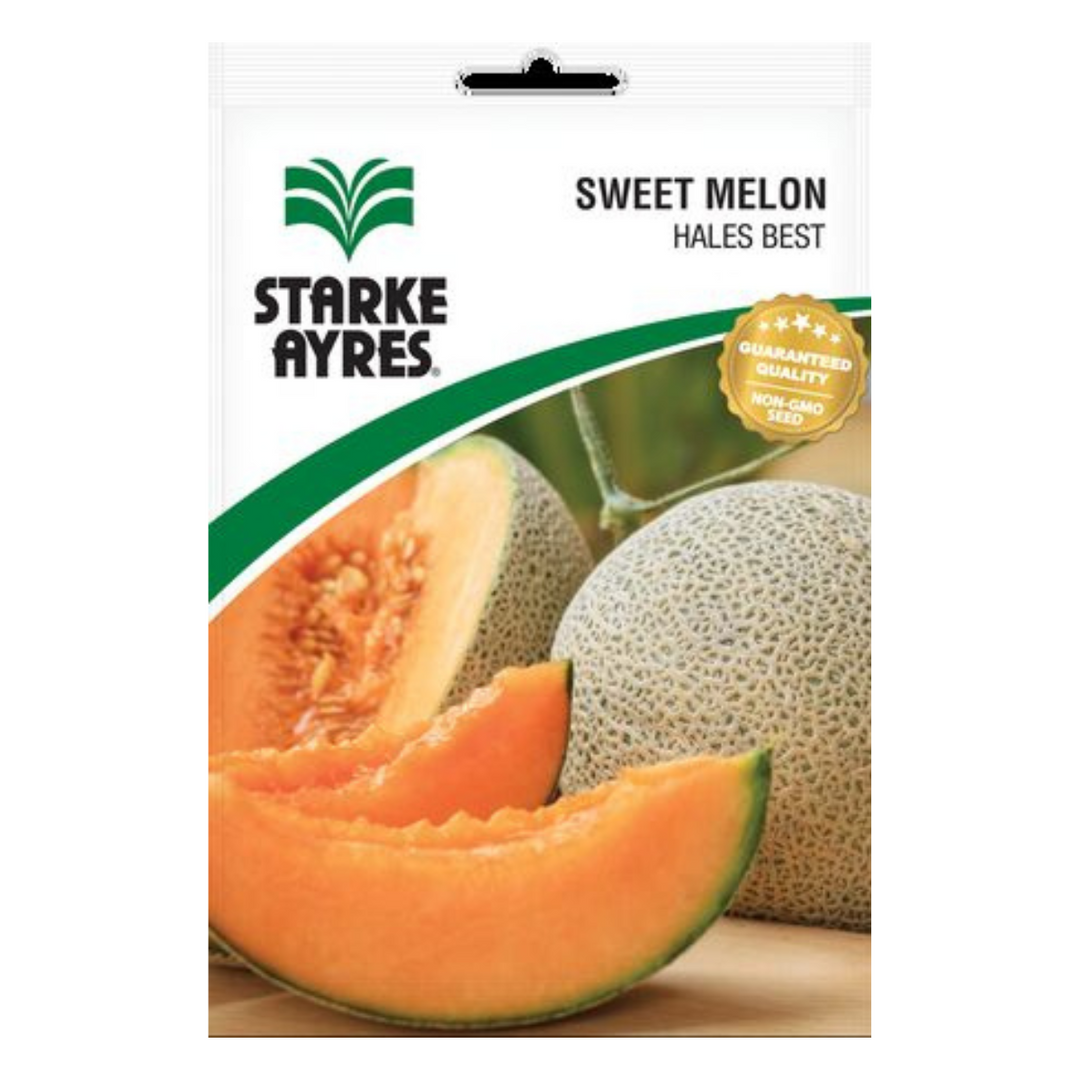 Seeds - Sweet Melon - Shop Online!