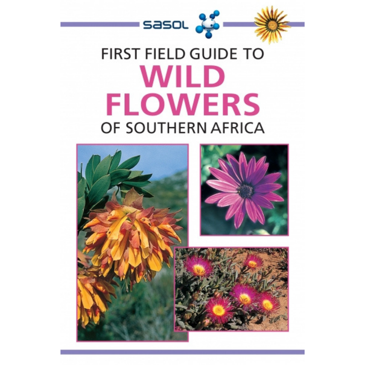 Book cover of &