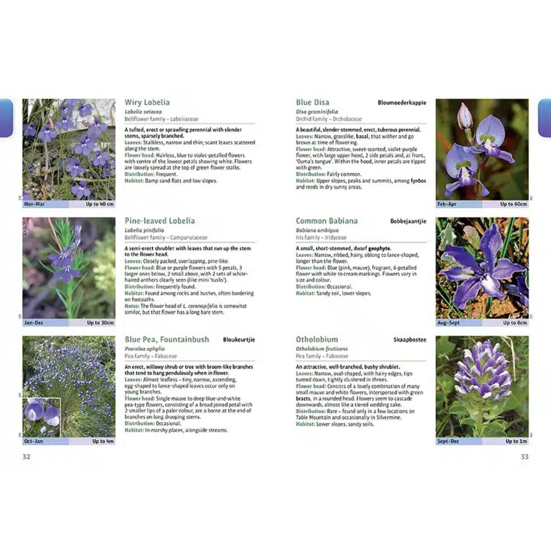 Floral identification guide with images and descriptions of various indigenous cape peninsula plants.