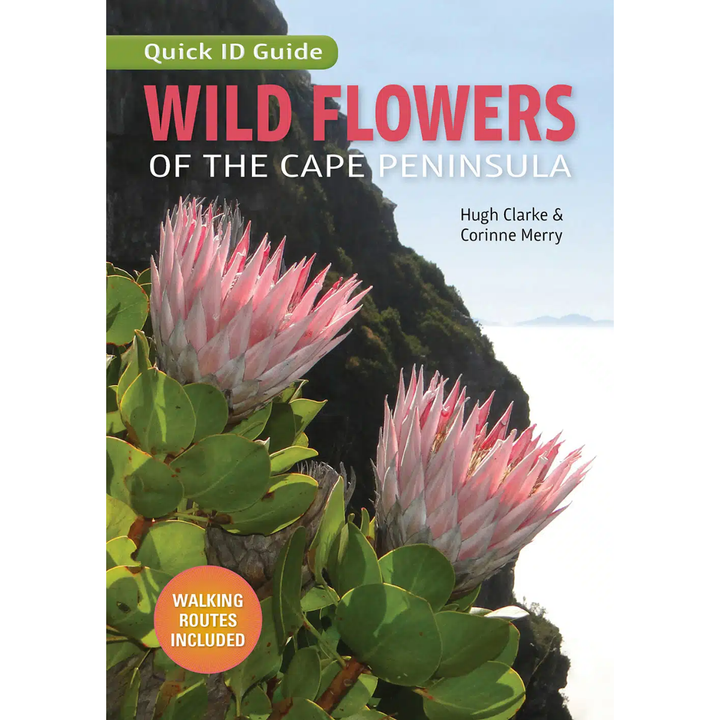 Book cover of 'Quick ID Guide Wild Flowers of the Cape Peninsula' with protea flowers and mountain background.