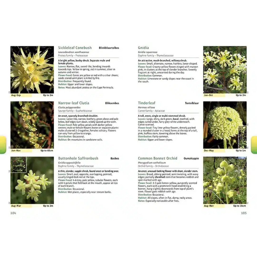 Floral identification guide with images and descriptions of various indigenous cape peninsula plants.