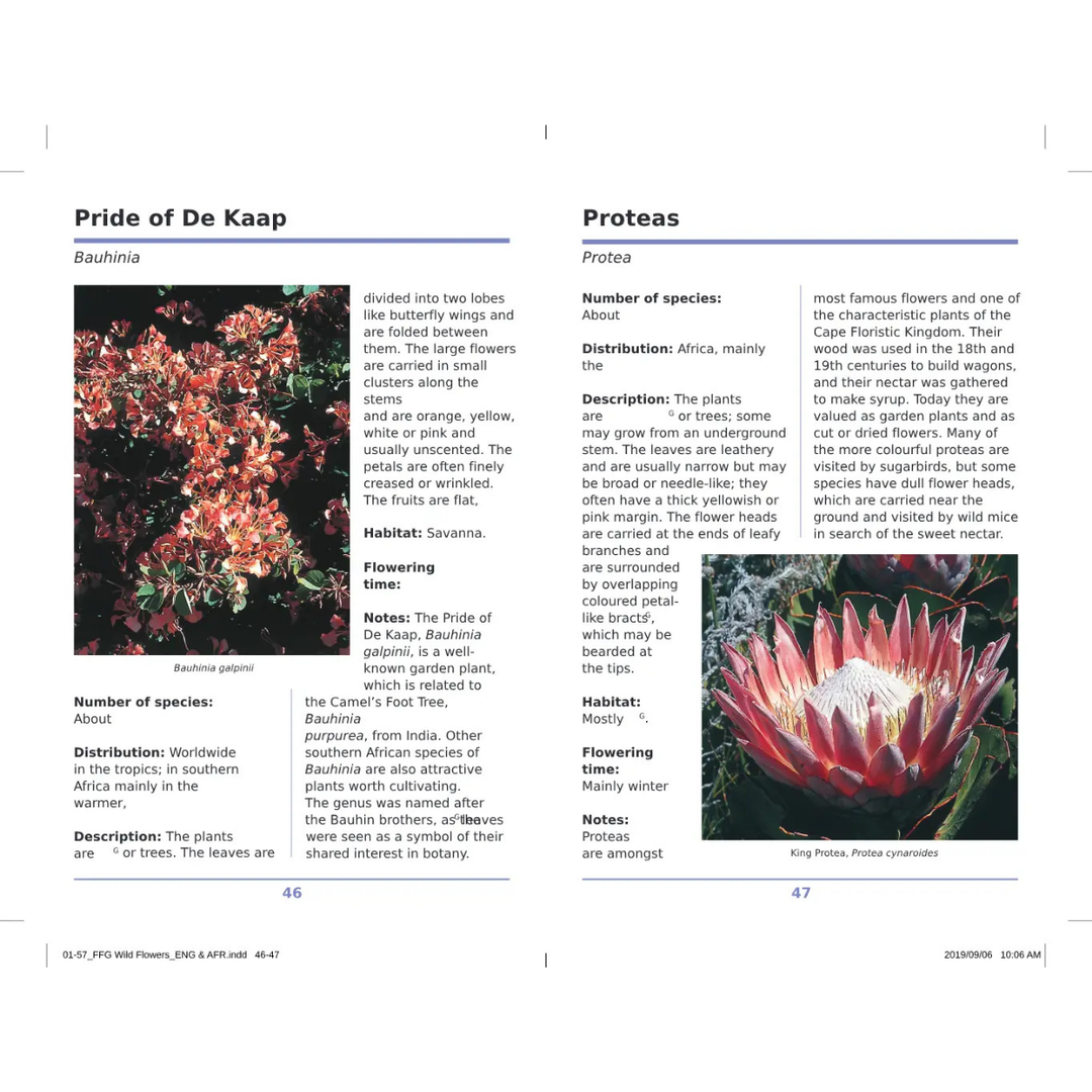 Page from a book or magazine featuring information on &