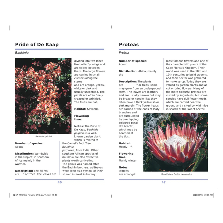 Page from a book or magazine featuring information on &
