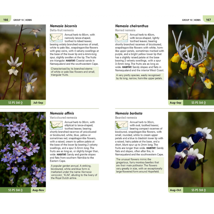 Floral identification guide with images and descriptions of Nemesis species.