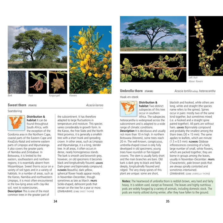 Page from a book or magazine featuring images of south african indigenous trees and plants with text and illustrations.
