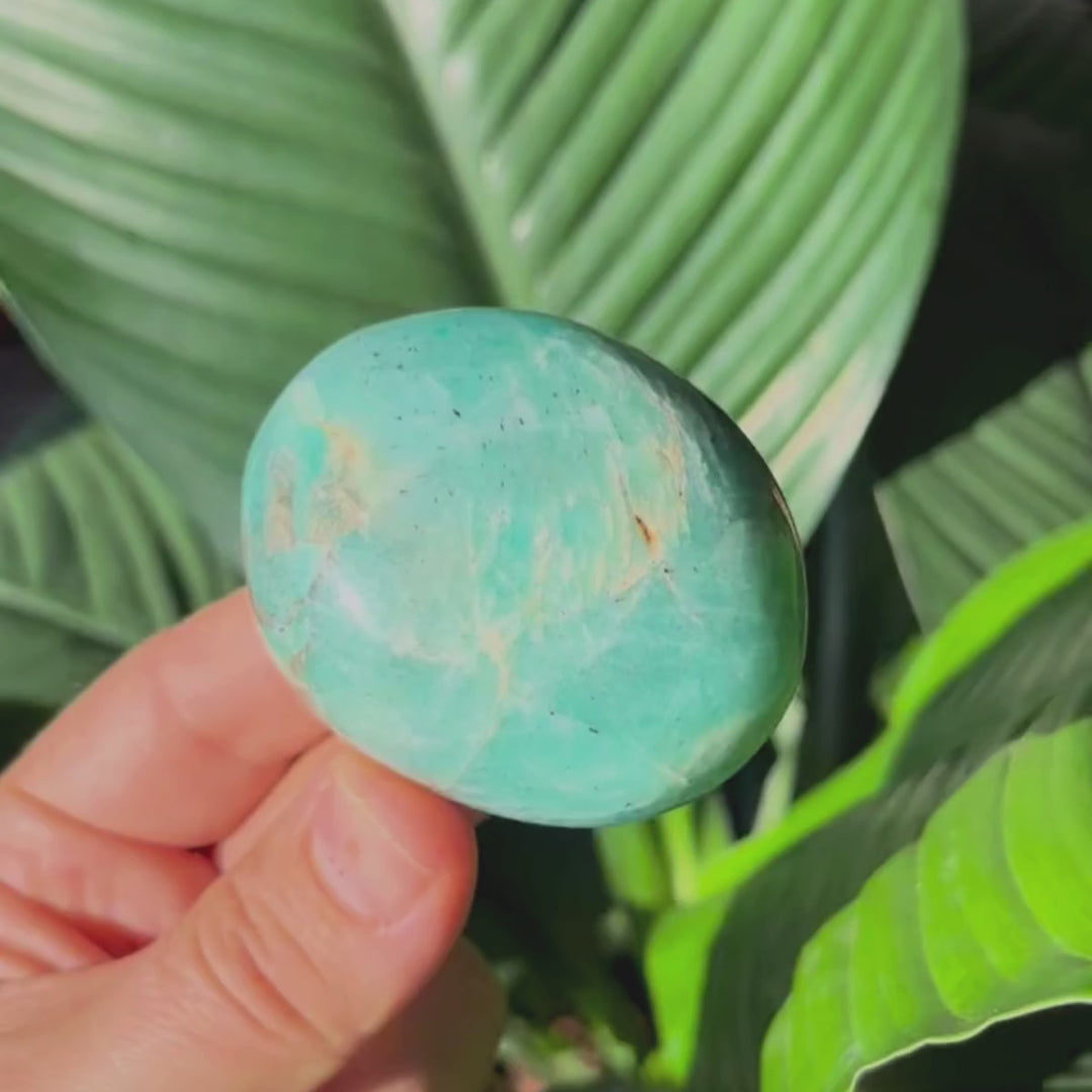 Amazonite Gallets - Polished Palm Stones