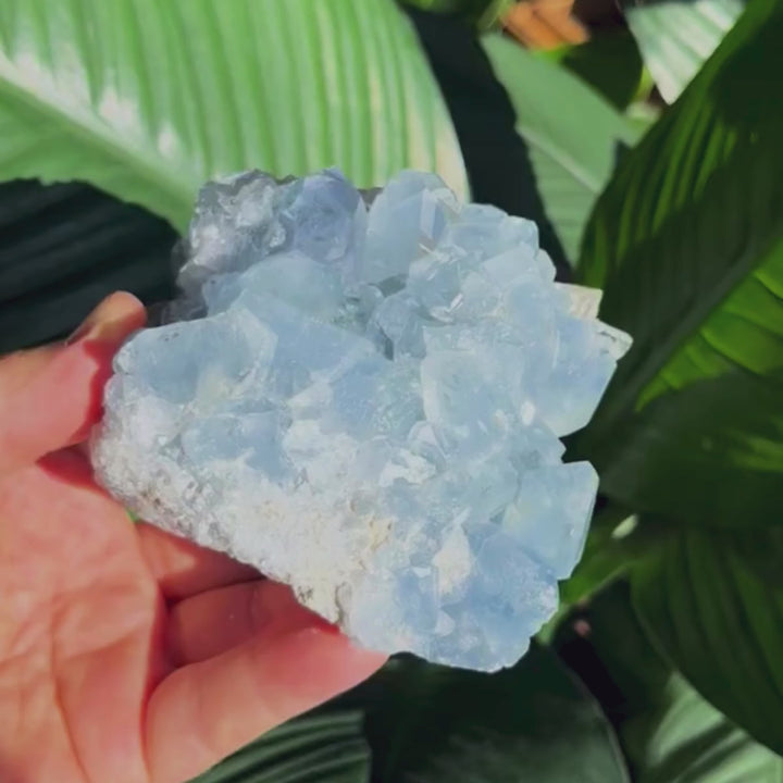 Celestite - Specimen