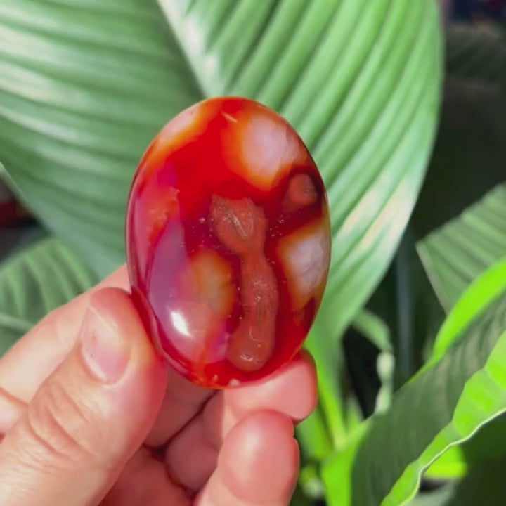 Carnelian Gallets - Polished Palm Stones