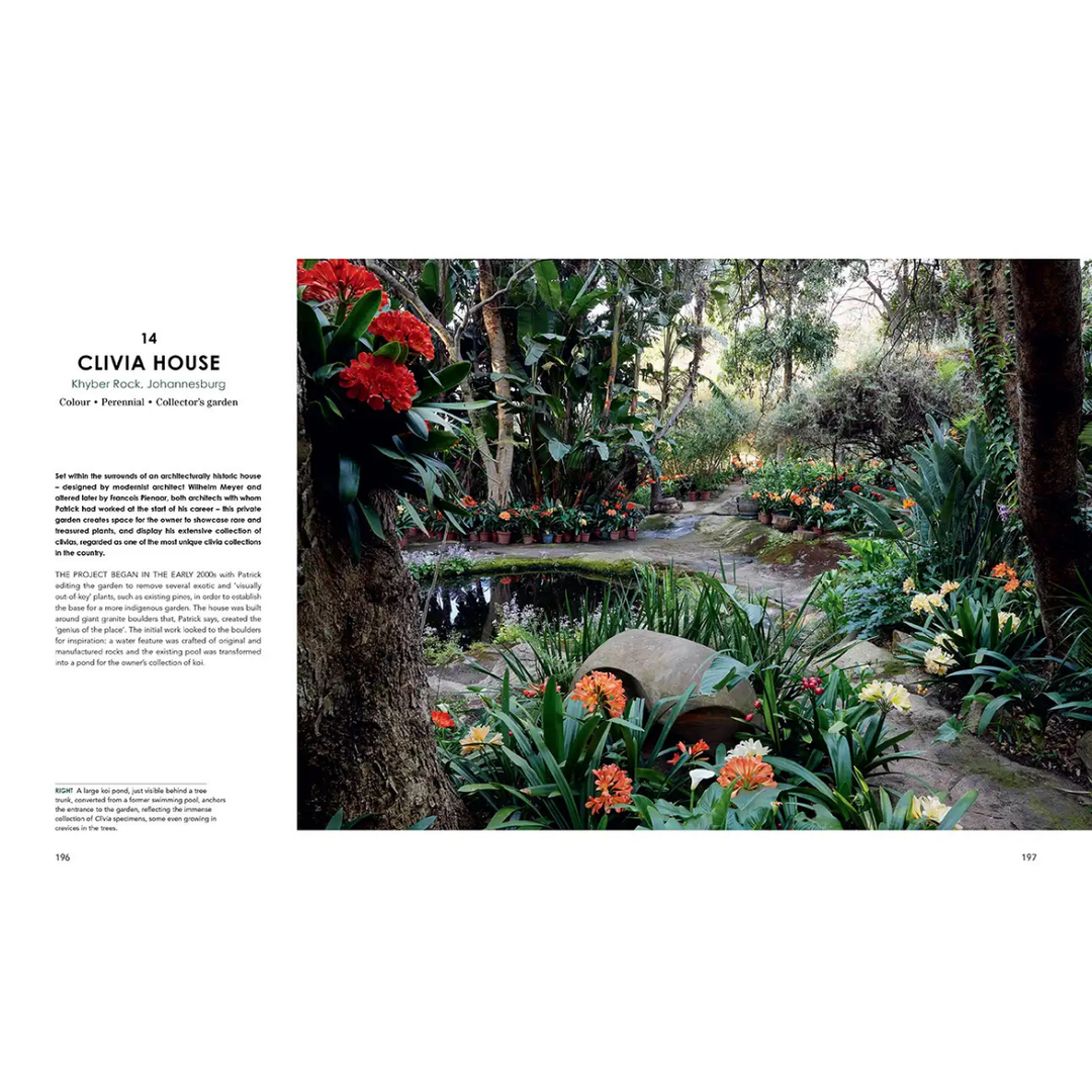 Garden scene with flowers and a pond, featuring text on the left side. Clivia south african indigenous